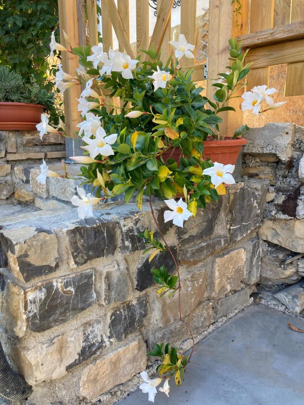 Vila Casa Matilde Sanremo Exteriér fotografie